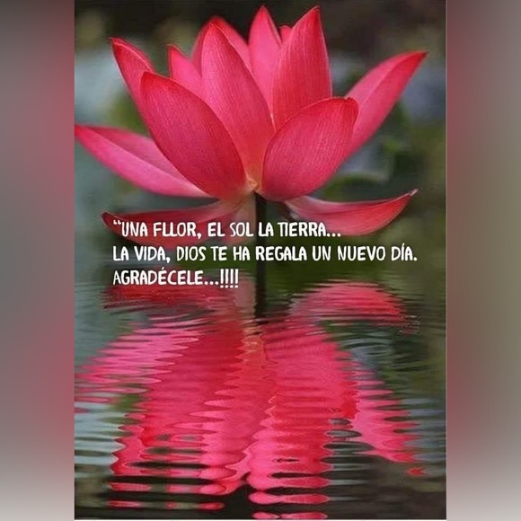 patriciabarr992